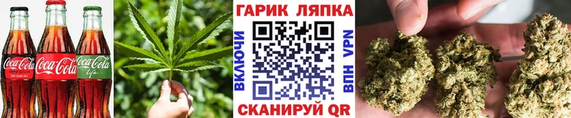 сколько стоит МЕГА tor Cannafood марихуана Усть-Джегута