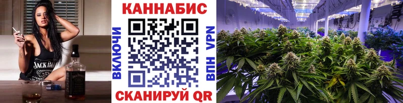 наркотики  Усть-Джегута  Каннабис индика 